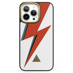 Apple iPhone 13 Pro Printed Case - Ziggy Lightdust
