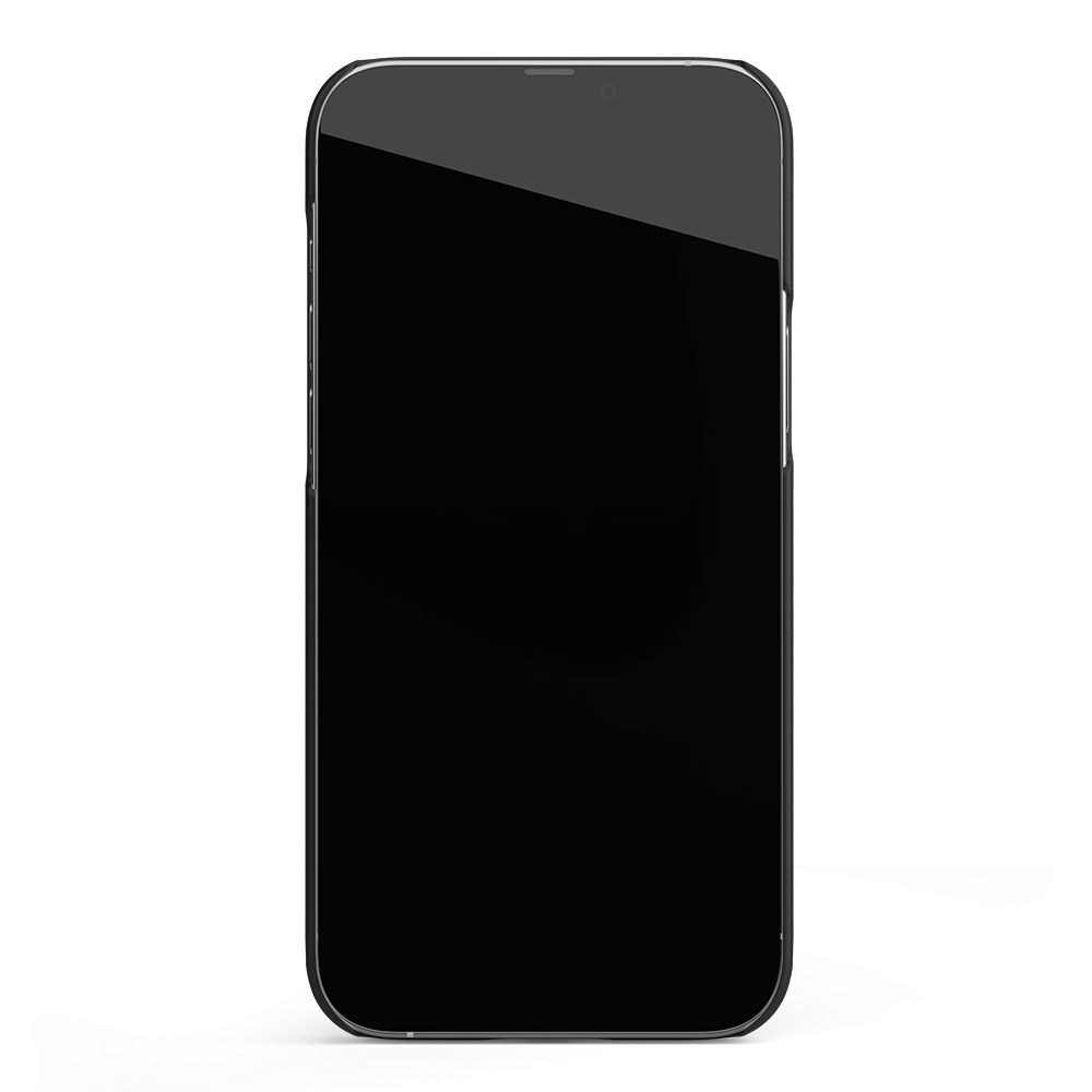 Apple iPhone 13 Pro Max Printed Case - Ziggy Lightdust
